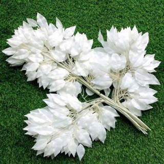 sỉ 10 cành lá si trắng làm cây