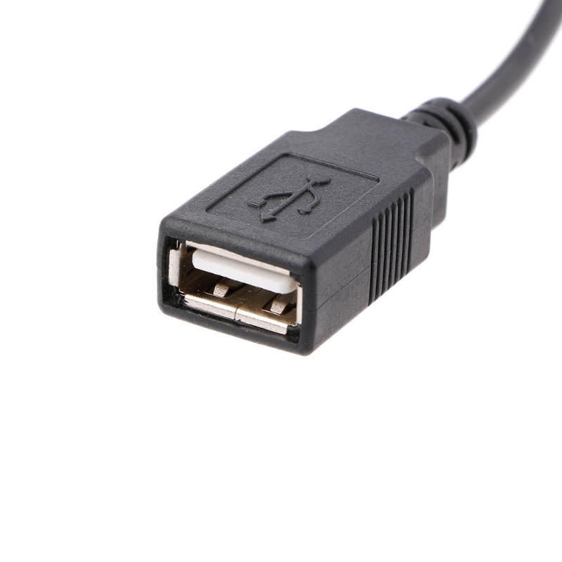 Dây Cáp Chuyển Đổi 30cm Pc Internal 5v 2-pin Ide Molex Sang Usb 2.0 Type A Female