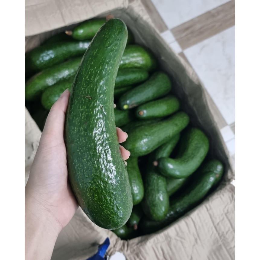 [HCM]- Bơ 034- Mềm dẻo, béo thơm | BigBuy360 - bigbuy360.vn