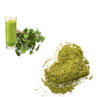 Bột Rau Diếp Cá Xanh OYe -Thanh nhiệt  giải độc lợi tiểu - Ngăn ngừa làm giảm táo bón kiết lị