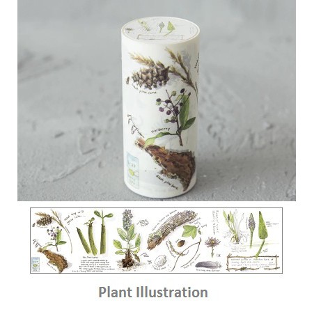 Washi tape vintage bản rộng