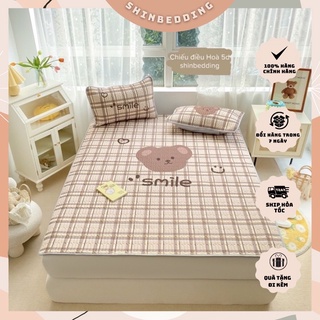 Set Chiếu Điều Hoà 5D Thường - Nhiều Hoạ Tiết - Shinbedding