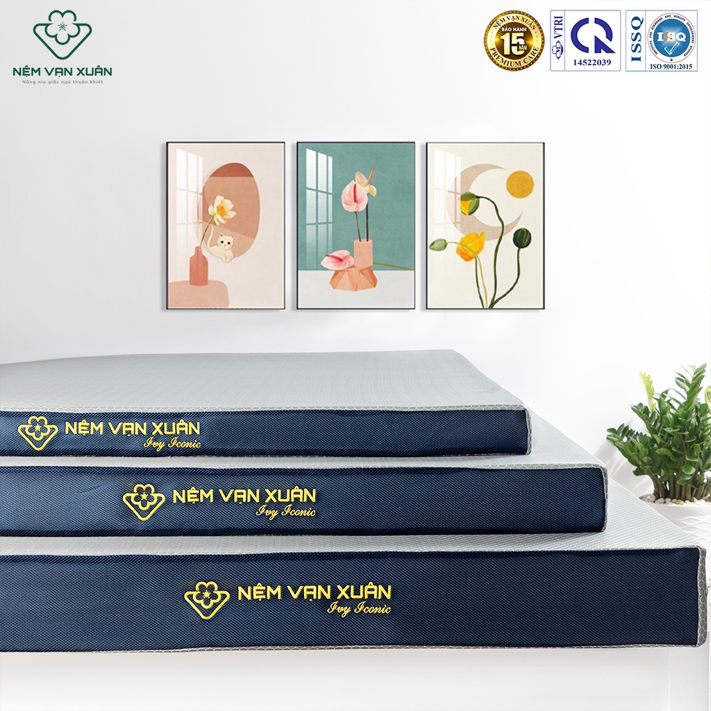 Nệm Foam Hoạt Tính Vạn Xuân Ivy Iconic Thoáng Mát Kháng Khuẩn Hỗ Trợ Tuần Hoàn Máu, Nâng Đỡ Cơ Thể Hoàn Hảo Chất Lượng