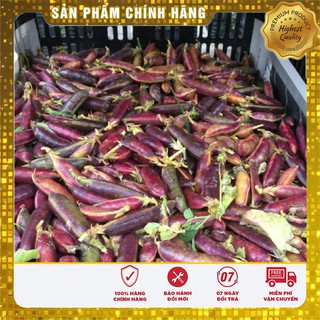 Bộ gói hạt giống Đậu Hà Lan