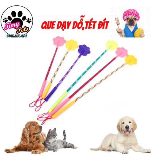 QUE DẠY DỖ,TÉT ĐÍT THÚ CƯNG SIÊU CƯNG
