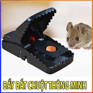 Bẫy bắt Chuột diệt chuột hiệu quả