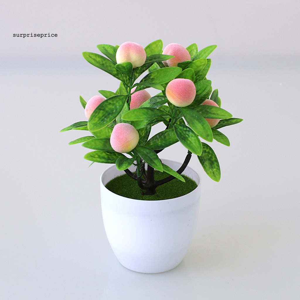 Chậu cây bonsai nhân tạo bằng nhựa sống động như thật trang trí nhà cửa nhiều kiểu dáng