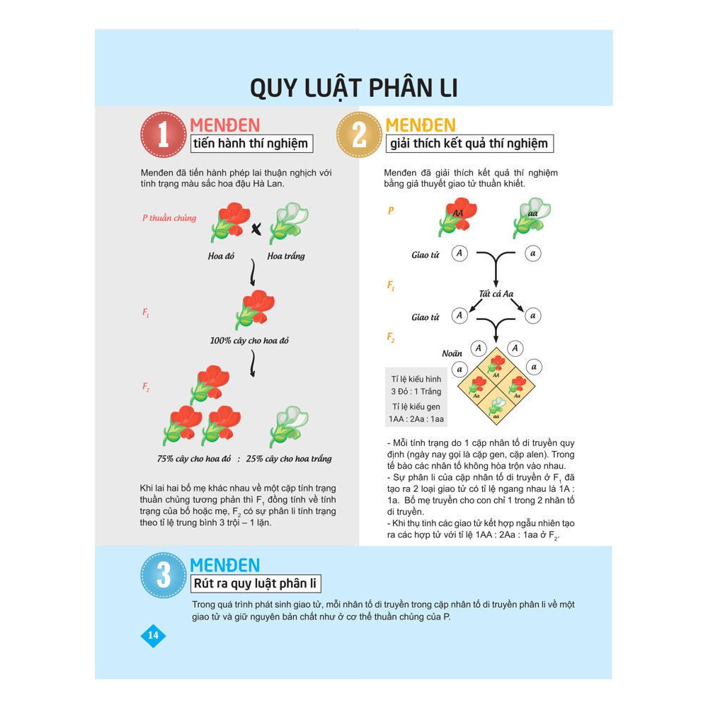 Sách - Bí quyết tăng nhanh điểm kiểm tra Sinh học 9