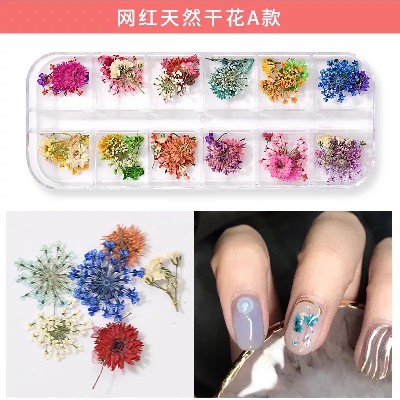 Set 12 mẫu hoa khô trang trí móng nail nghệ thuật