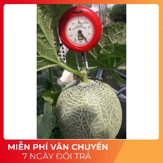 Cân mini Nhơn hoà bỏ túi 5kg