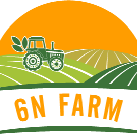 6NFarm Official Store