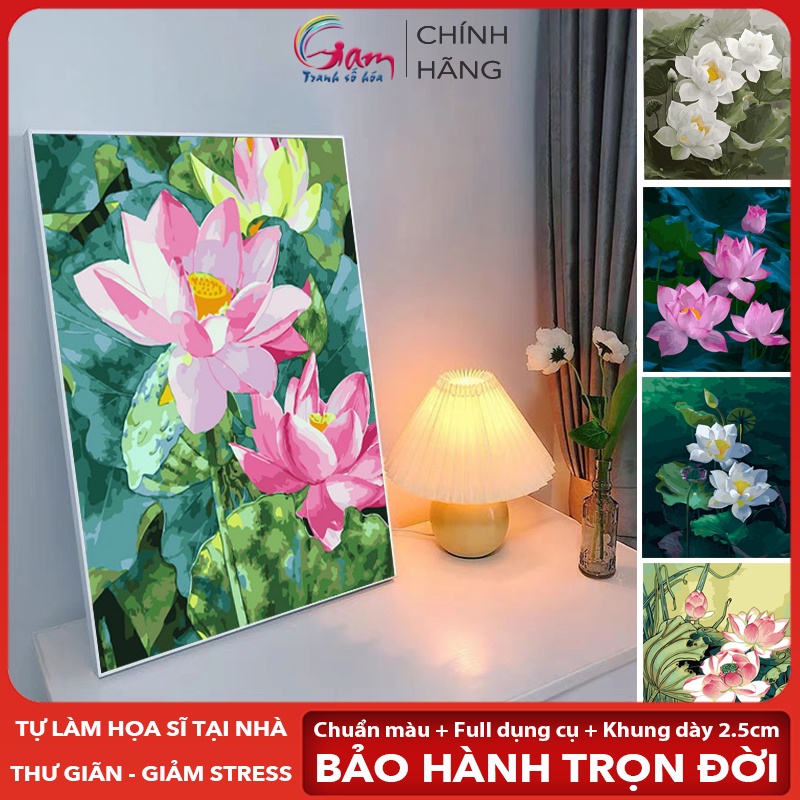 Tranh sơn dầu số hóa tự tô màu theo số hoa sen lotus Gam đã căng khung dày 2.5cm size 40x50cm