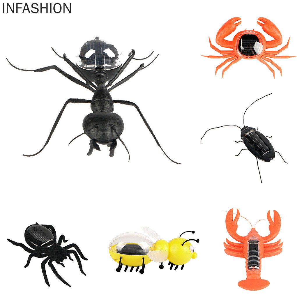 Con Gián Đồ Chơi Sử Dụng Năng Lượng Mặt Trời Cho Bé