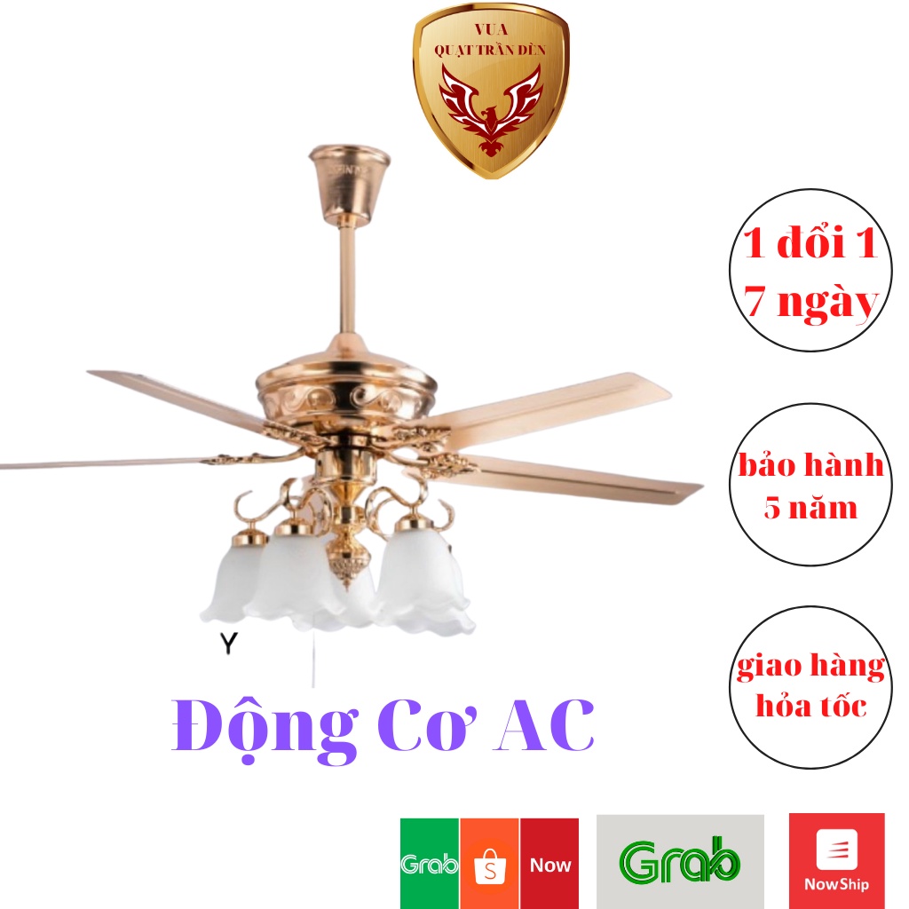 Quạt Trần Trang Trí Phòng Khách QTD2365, Quạt Trần Có Đèn/Điều Khiển Từ Xa, Động Cơ AC