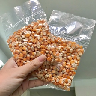 Bắp - ngô nguyên hạt cho hamster, chim, vẹt, gà… 100g