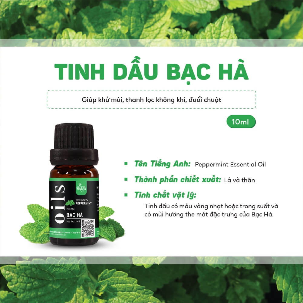 Tinh dầu Xông Bạc Hà Haeva Cao Cấp, 100% Thiên Nhiên, giúp khử mùi, thanh lọc không khí, đuổi chuột,Chai 10ml/30m/100ml