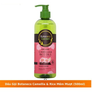 Dầu Gội Botaneco Garden Camellia and Rice Chiết Xuất Dầu Hạt Hoa Trà Và Dầu Cám Gạo Hữu Cơ (500ml)