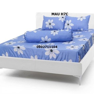 Bộ ga giường cotton cao cấp