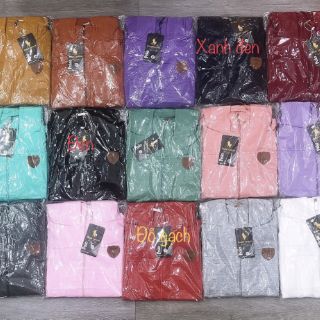 Áo khoác polo hàng có sẵn