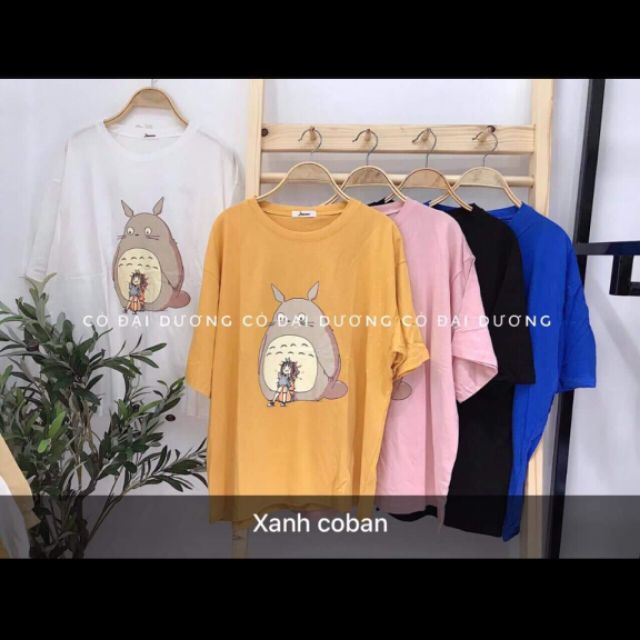 Combo hoài
