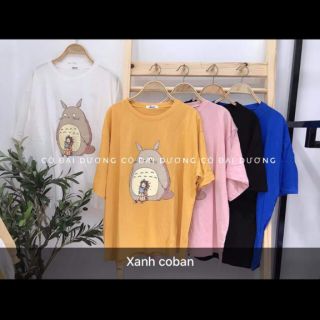 Combo hoài