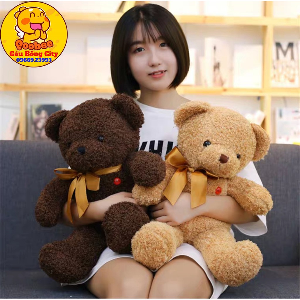 Gấu Bông Teddy Chỉ Cao Cấp Mềm Mịn