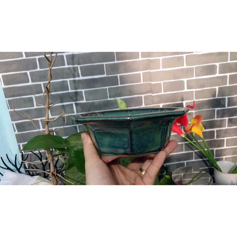 Chậu sứ bát giác men xanh