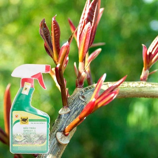 Phân bón lá dạng bình xịt MK đầu trâu SPRAY 1 500ml chuyên cho hoa - cây cảnh nảy chồi ra lá