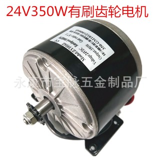 Động cơ 12V 300W