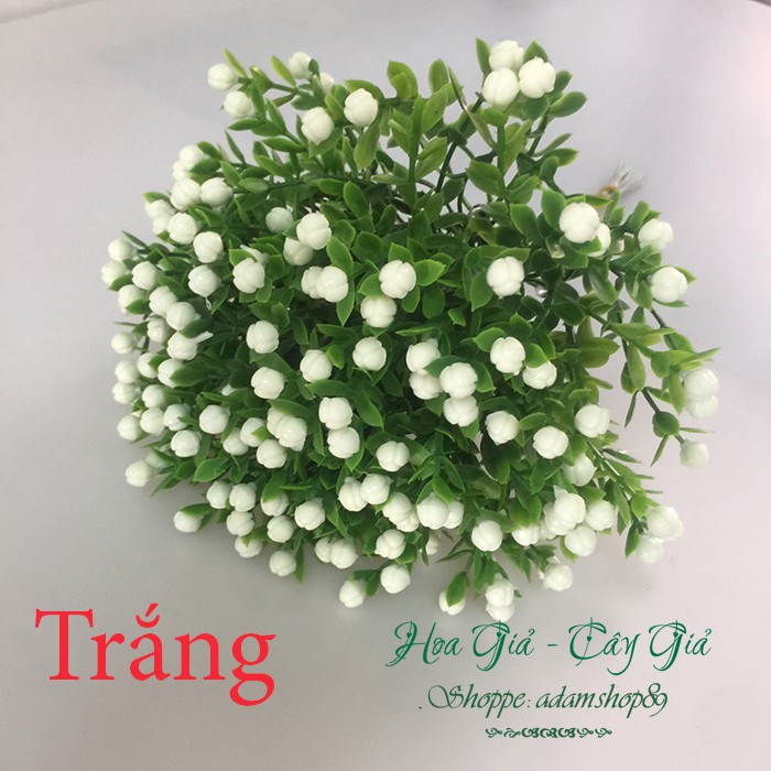 Hoa giả - Hoa Chiêm Điểm