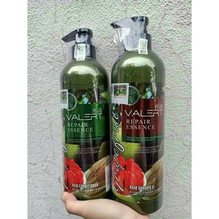 Bộ dầu gội - xã bưởi Grapefruit..