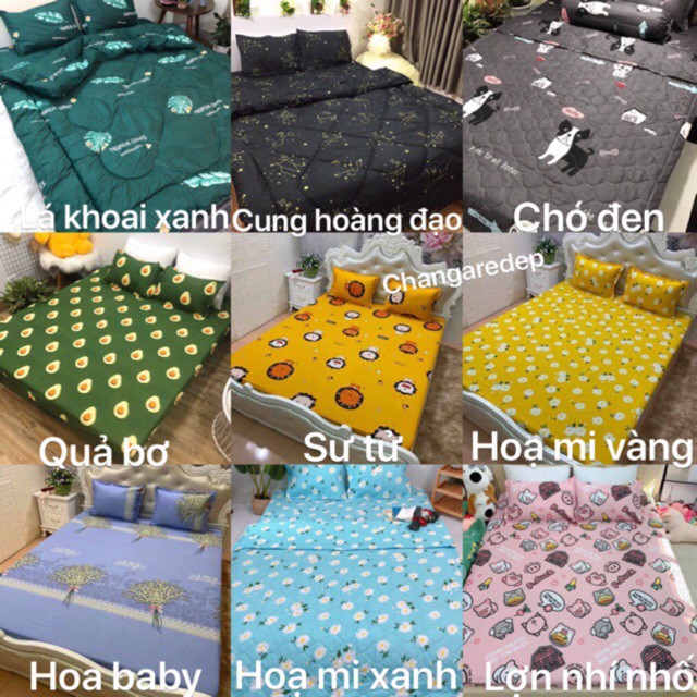 Bộ 1 Ga chun và 2 vỏ gối Cotton poly, chat chọn mẫu.