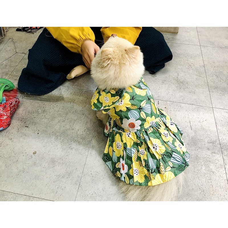VÁY ĐẦM XOÈ HOA LÁ XINH XẮN CHO THÚ CƯNG