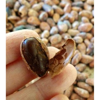 Bột cacao nguyên chất 500g