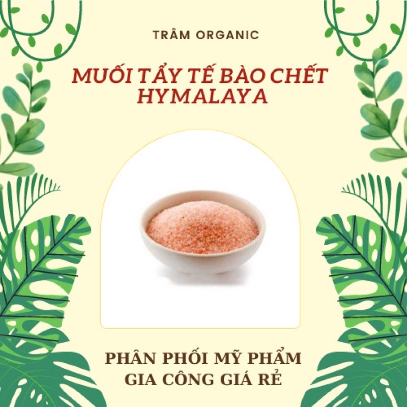 Muối tẩy tế bào chết Hymalaya