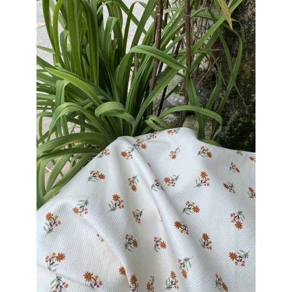 Vải nhung tăm hoa xinh nền trắng kem