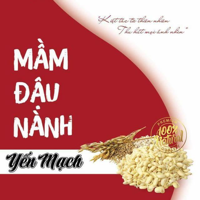 Bột ngũ cốc mầm đậu nành