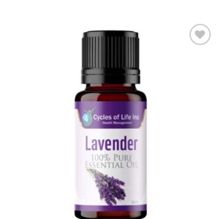 Tinh dầu hoa lavender Pháp - TGS29
