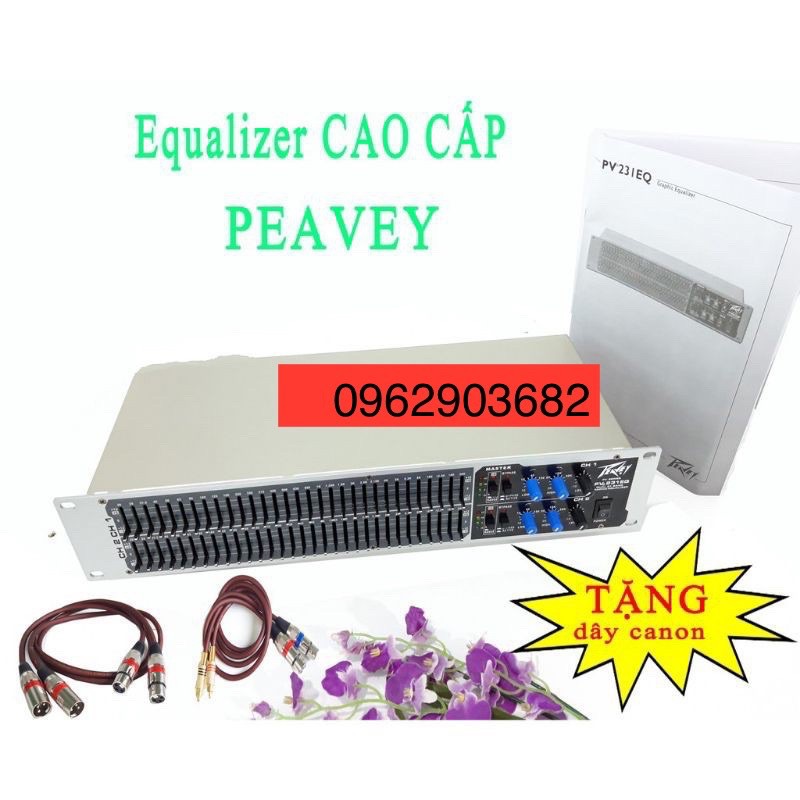 LỌC XÌ EQUALIZER PEAVEY 231EQ