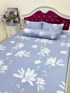 Bộ ga gối cottong lạnh