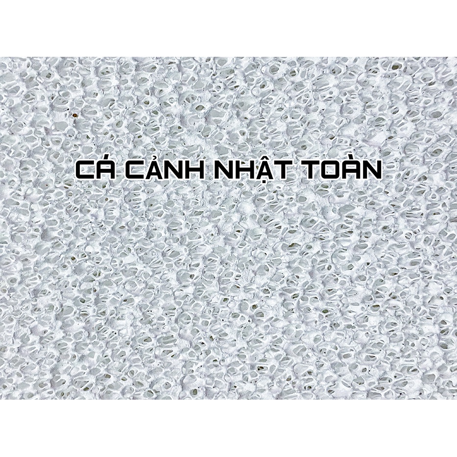 SỨ LỌC TÀU HỦ BACTERIA HOUSE SQUARE VẬT LIỆU LỌC BỂ CÁ CẢNH 10X10X5CM