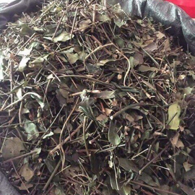 1Kg Chè vằng lợi sữa