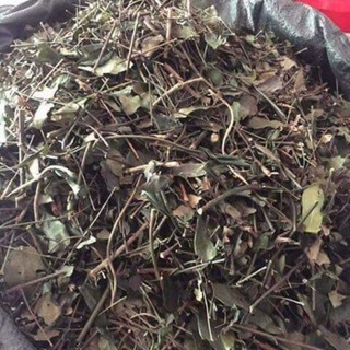 1Kg Chè vằng lợi sữa