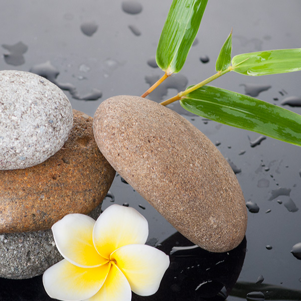 Kim Ngân Shop Nail & Spa