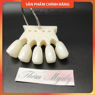 Móng Que Tập Sơn Tập Vẽ Móng Que Vương Miện