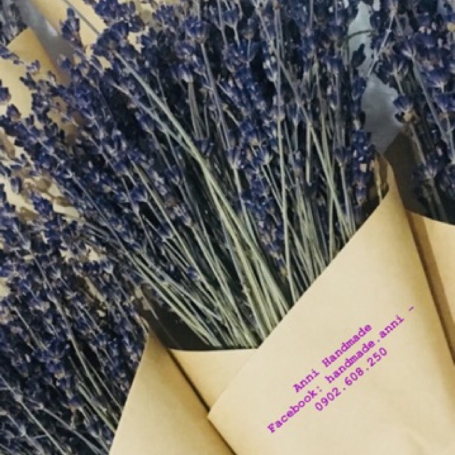 Quà tặng – hộp hoa Lavender khô (shop tự bó đẹp và lãng mạng)