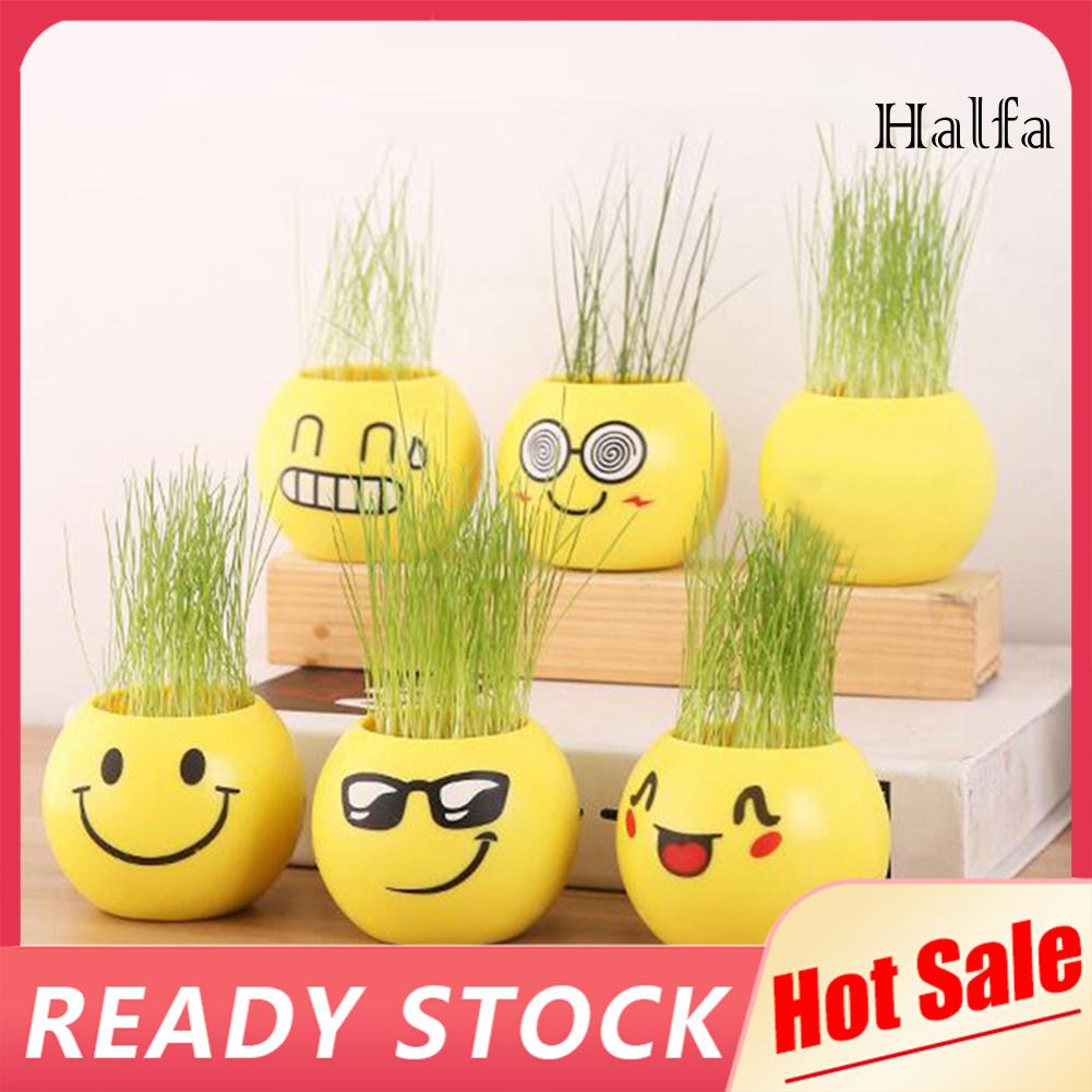 Chậu trồng cỏ bằng nhựa mini hình biểu tượng cảm xúc xinh xắn trang trí thủ công để bàn làm việc/ cửa sổ