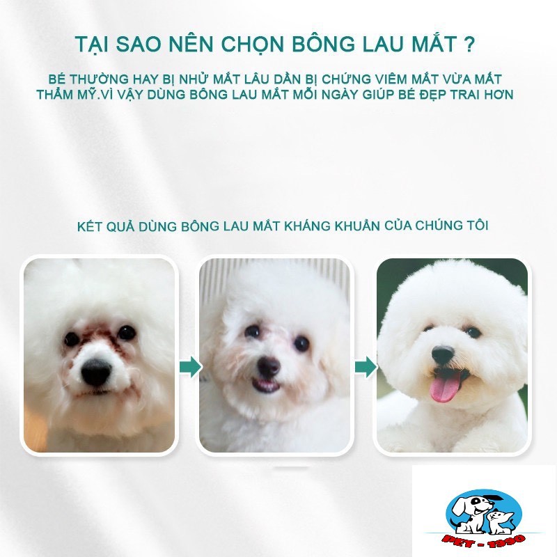 Bông - Khăn Lau Vết Ố Vệ Sinh Tai Mắt Cho Chó Mèo