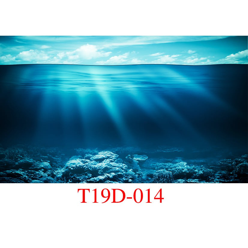 Tranh 3D bể cá cảnh, có keo sẵn, kèm dụng cụ dán 3D