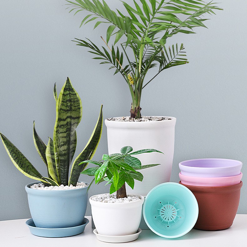 Chậu trồng hoa ngoài trời cao cấp- nhiều màu, siêu dày, siêu bền bỉ